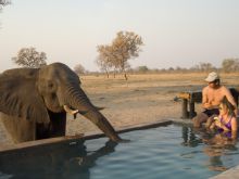 Makalolo Plains Camp, Hwange National Park, Zimbabwe Â© Dana Allen
