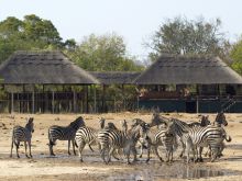 Makalolo Plains Camp, Hwange National Park, Zimbabwe Â© Dana Allen