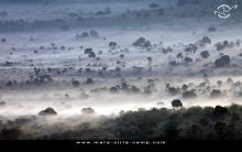 Mara Siria Bush Camp, Masai Mara National Reserve, Kenya