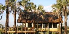 A guest tent shade by a grove of palm trees at Maramboi Tented Camp, Tarangire National Park, Tanzania