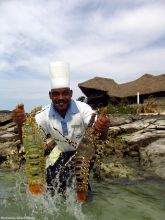 Medjumbe Island Resort, Quirimbas Archipelago, Mozambique