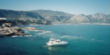 Hermanus Whale Watching Expedition