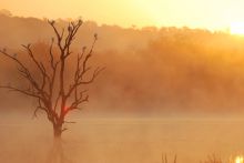 Mkuze Falls Lodge Scenic Photo #1