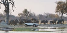Game drive at Davisons Camp, Huangwe National Park, Zimbabwe (Mike Myers)