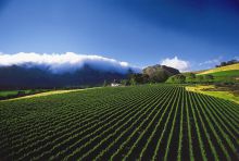 Mont Rochelle Hotel, Franschhoek, South Africa