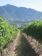 Mont Rochelle Hotel, Franschhoek, South Africa