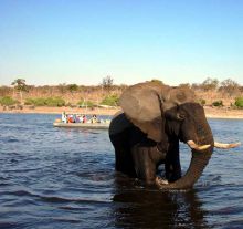 Mowana Safari Lodge - Boat Cruise
