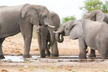 Mushara Villa, Etosha National Park, Namibia