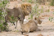 Mushara Villa, Etosha National Park, Namibia