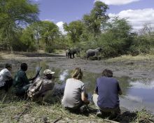 Mvuu Wilderness Lodge, Liwonde National Park, Malawi Â© Dana Allen