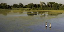 Boating on the flooded plains at Tubu Tree Camp, Okavango Delta, Botswana (Dana Allen)