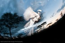 Ndutu Safari Lodge, Serengeti National Park, Tanzania