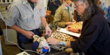 Cheetah Conservation Fund Visit