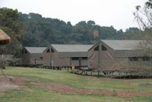 Tent exteriors at Ngamba Island Tented Camp, Ngamba Island, Uganda