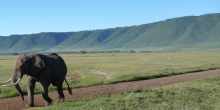 Thomson Nyumba Ngorongoro Crater