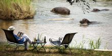 Hippos in the Sabie River