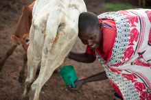 Get a taste of Masai village life at Mara House, Masai Mara National Reserve, Kenya