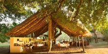 Tafika Camp, South Luangwa National Park, Zambia