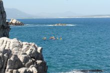 Ocean Eleven Guesthouse - Whales and Kayaks