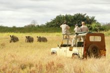 Game drive at Sanctuary at Ol Lentille, Laikipia, Kenya