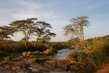 Scenery at Sanctuary at Ol Lentille, Laikipia, Kenya