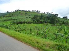 Surroundings at Mihingo Lodge, Lake Mburo National Park, Uganda (Mango Staff photo)