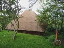 Camp exterior at Ndali Lodge, Kibale Forest National Park, Uganda (Mango Staff photo)