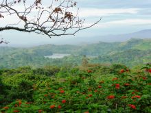 Beautiful surroundings at Ndali Lodge, Kibale Forest National Park, Uganda (Mango Staff photo)