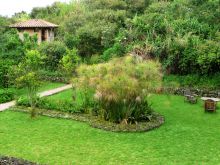 Surroundings at Virunga Lodge, Volcanoes National Park, Uganda (Mango Staff photo)
