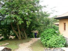 Exterior at Virunga Lodge, Volcanoes National Park, Uganda (Mango Staff photo)