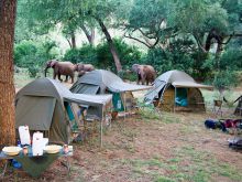 Pafuri Wilderness Trails, Kruger National Park, South Africa Â© Caroline Culbert