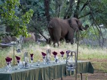 Pafuri Wilderness Trails, Kruger National Park, South Africa Â© Caroline Culbert