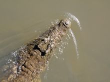 Pafuri Wilderness Trails, Kruger National Park, South Africa Â© Caroline Culbert