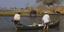 Mana Shoreline Canoeing hippo