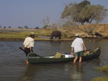 Passing hippos on Mana Pool Canoe Trails, Mana Pool National Park, Zimbabwe (Mike Myers)