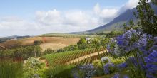 Cape Wineland Tour Scheduled Full Day, Cape Town, South Africa