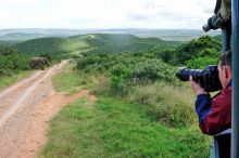 Photographing an elephant at Shamwari Bayethe Tented Lodge, Shamwari Game Reserve, South Africa