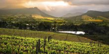 Cape Wine Lands