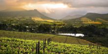 Cape Wineland Tour Scheduled Full Day, Cape Town, South Africa