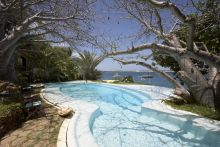 Pool with baobab trees at Peponi Hotel, Lamu Island, Kenya