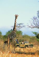 Porini Amboseli Camp, Amboseli National Reserve, Kenya