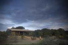 Porini Rhino Camp, Ol Pejeta Reserve, Kenya