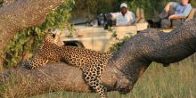 Tintswalo Safari Lodge, Manyaleti Game Reserve, South Africa
