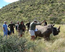 Rhino Research- Tswalu Kalahari, Twsalu Kalahari, South Africa
