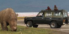 Sarova Lion Hill Game Lodge - Rhino seen near Lake Nakuru