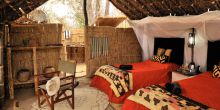 Mwaleshi Camp, North Luangwa National Park, Zambia