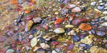 Beautiful river stones at Rubondo Island Camp, Lake Victoria, Tanzania