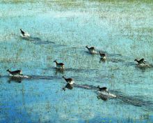 Running Lewche at Linyati Discoverer Camp, Linyati Wetlands, Botswana