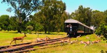 Rovos Rail Pretoria - Swakopmund BalconyGame