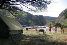 The tent and lunch table set up for rest during the camel back safari at Sabuk Lodge, Laikipia, Kenya
